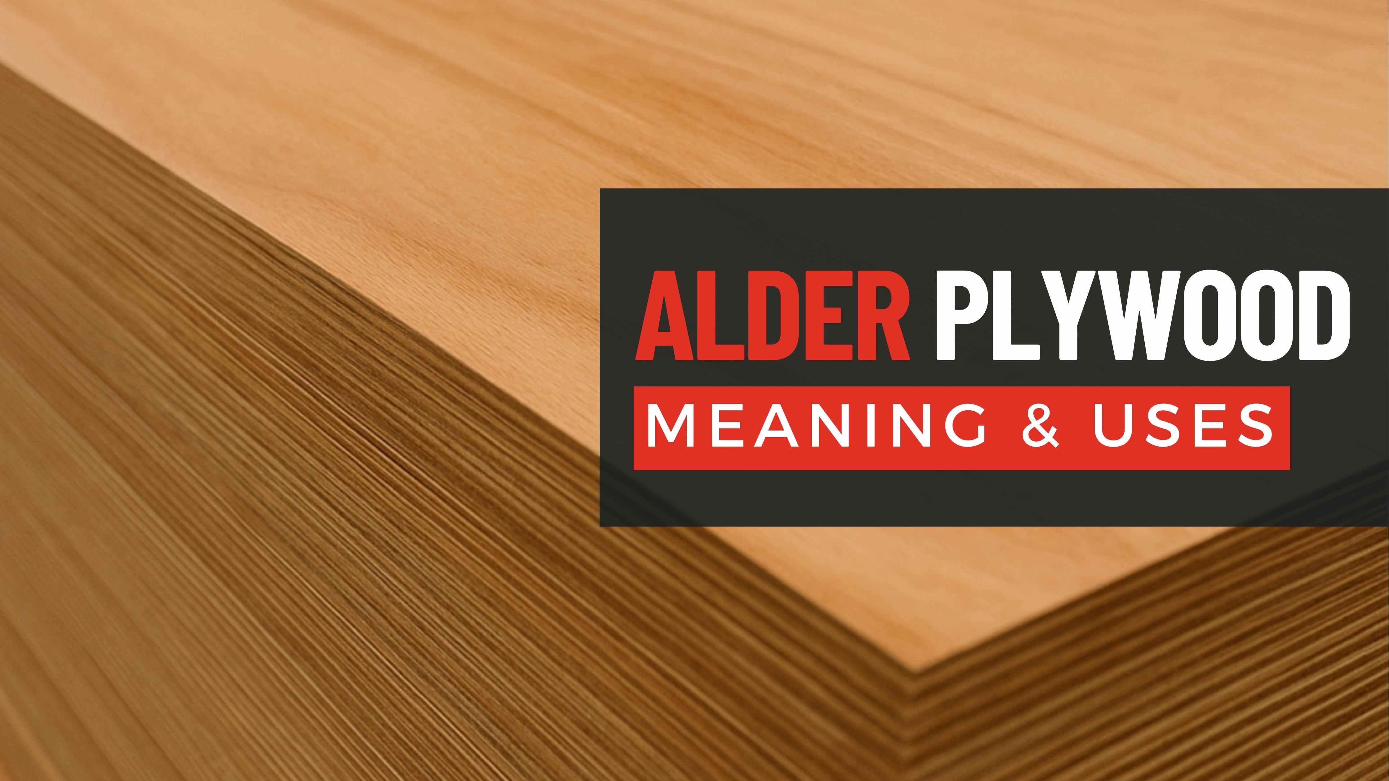 Alder plywood sheet with warm reddish grain in warehouse — Berta Store educational guide.