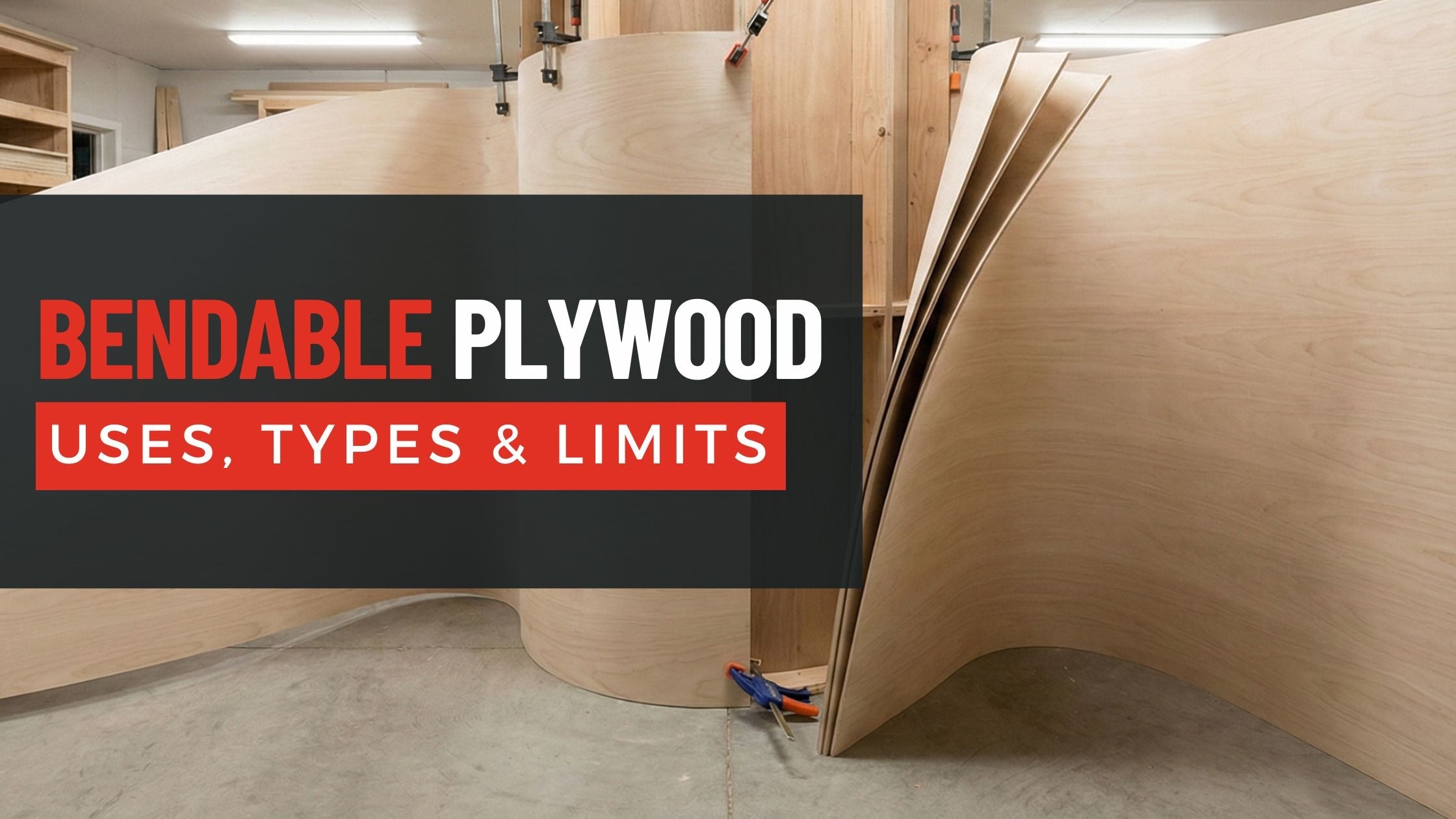 Bendable plywood sheet curved around a form, showing flexible plywood construction for curved cabinetry and millwork