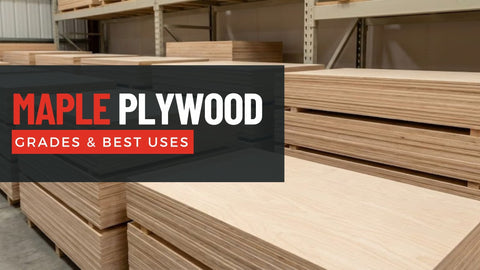 Maple Plywood: Grades, Construction, and Best Uses