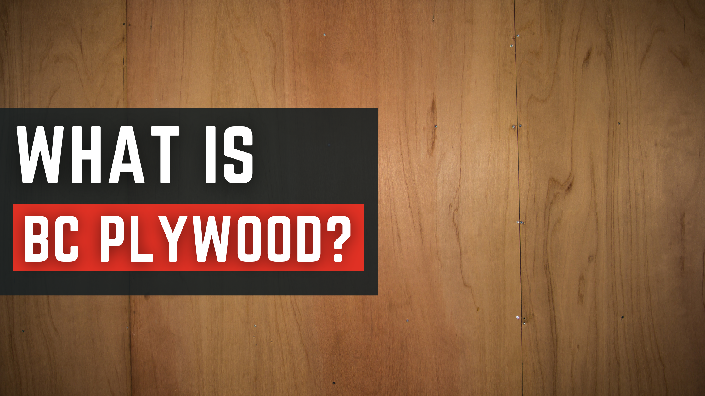 BC plywood meaning and uses banner with light wood background and text overlay — Berta Store educational guide.